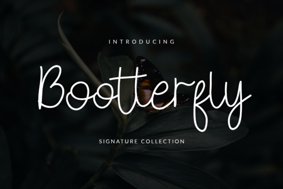 Bootterfly: A Script Handwritten Font That Elevates Campaign Visuals