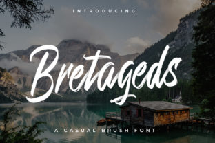 Bretageds Font for Professional Script Branding