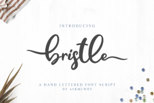 Bristle Script Font for Standout Branding