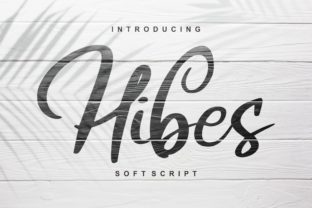 Hibes Script Handwritten Font for Authentic Campaign Design