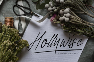 Hollywise: A Script Handwritten Font for Editorial Elegance