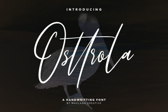Osttrola Script Font for Modern Brand Identity