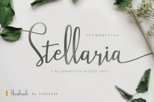 Stellaria Font: A Chic Script Handwritten Typeface for Upscale Campaigns